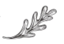 Illustration de la ligne section 1 de la carte du restaurant Bonna' Pita